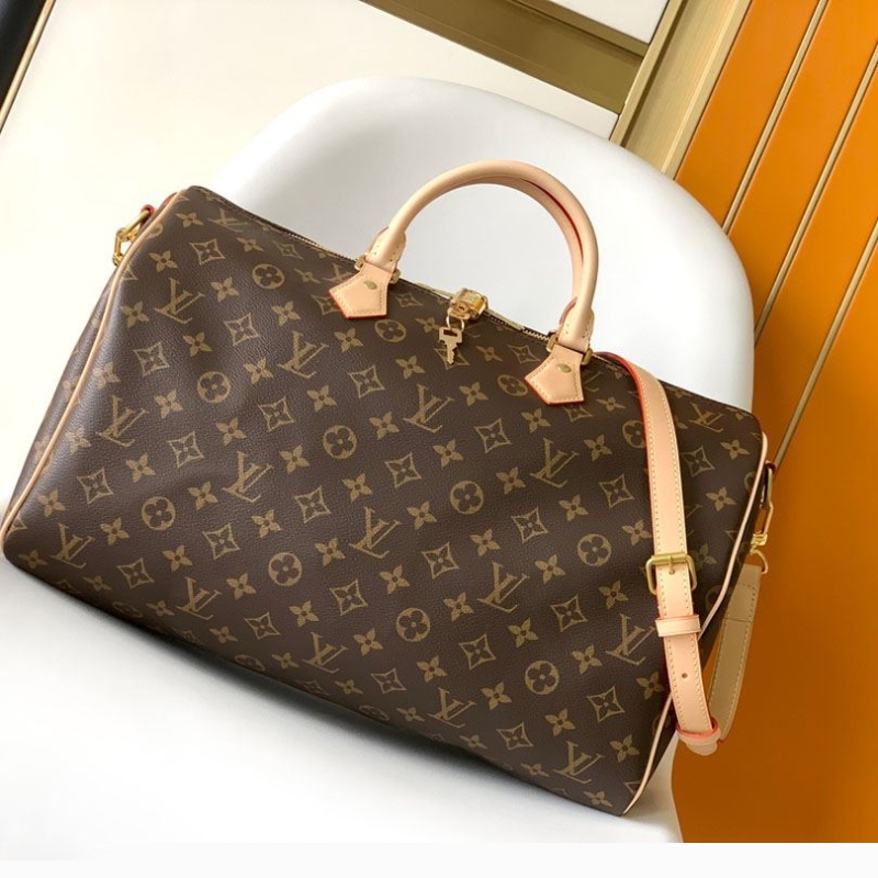 LV Travel Bags